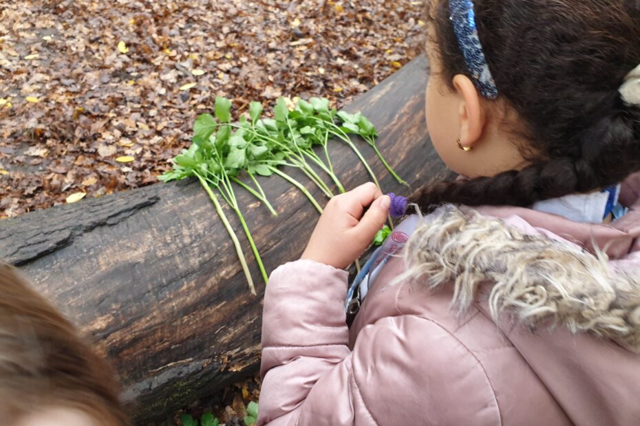enfant en forêt qui regarde des plantes