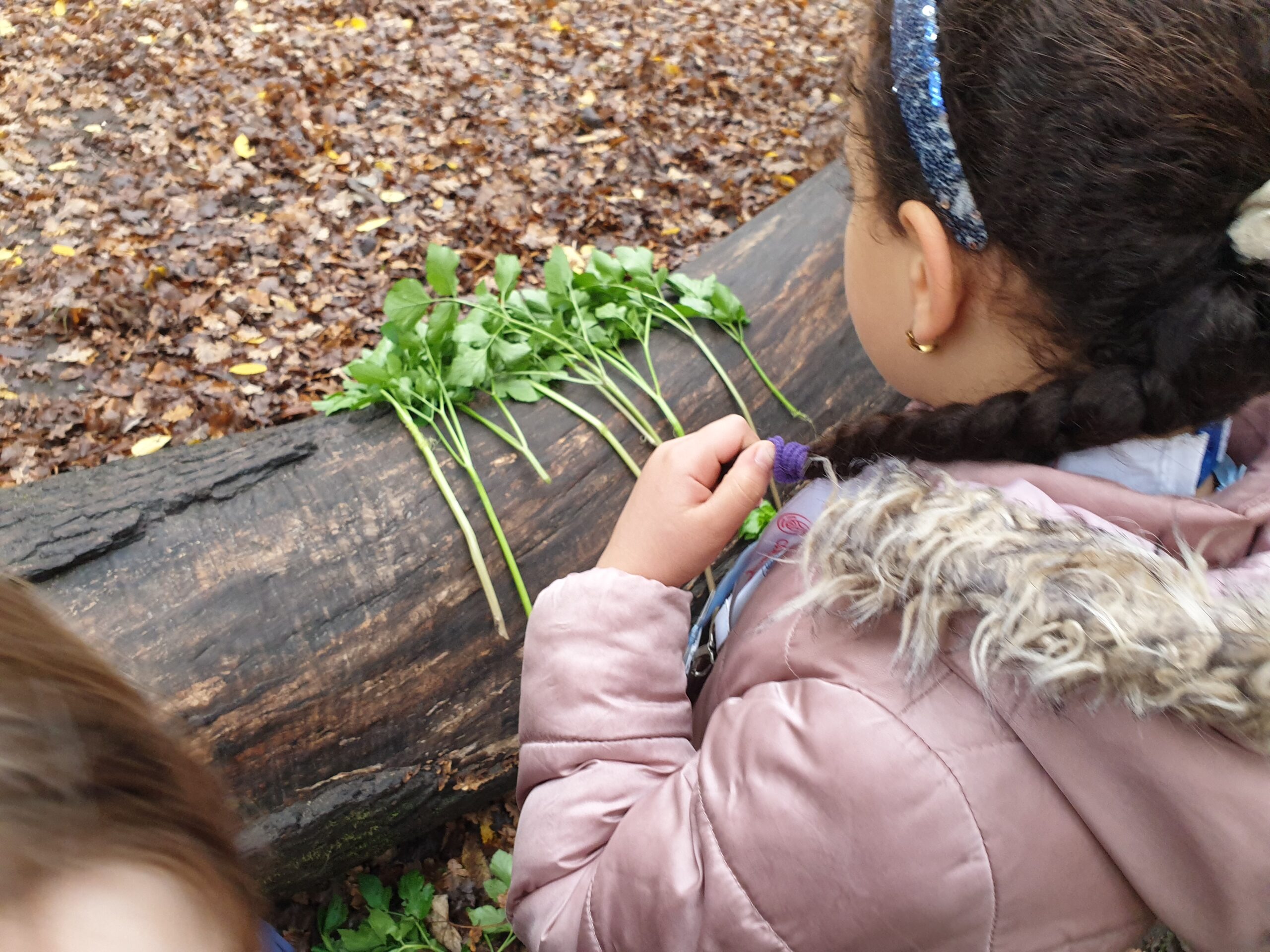 enfant en forêt qui regarde des plantes